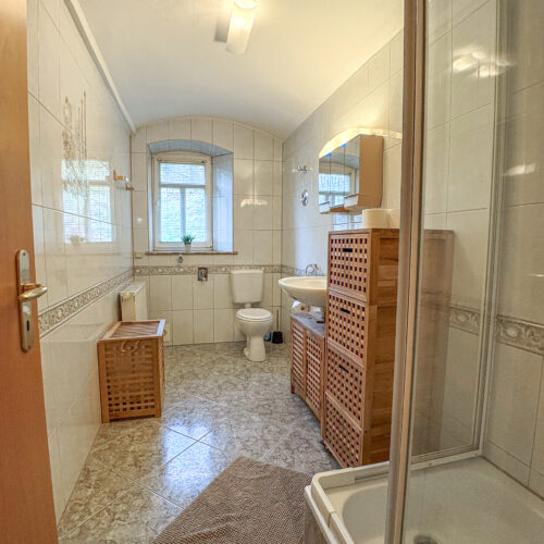 Bad mit Dusche/WC - Wohnung Schandau